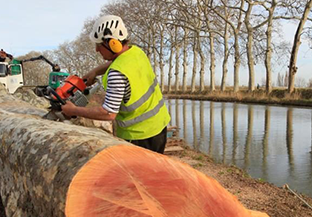 On of our tree surgeons in action.